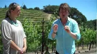 A Winery's Most Fetching Asset - Episode 64 - Drink Bravely with Mark Oldman