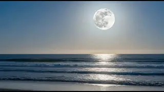 Moonlight on the beach