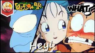 The drama that happened before heading to Pilaf's Castle. [DB Journey]
