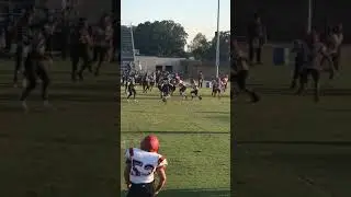 Panama razorbacks