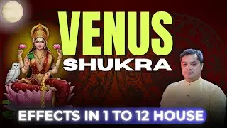 Venus (Shukra) in the Horoscope Houses: The Ultimate Guide | Astro Rawat