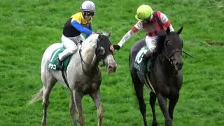 【白毛】ハヤヤッコ 函館記念2022を勝つ ウィニングランでウインイクシード騎乗の藤岡佑介も撫でる 現地映像