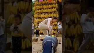 Meriam Jagung PopCorn Yang Langka #halmenarik