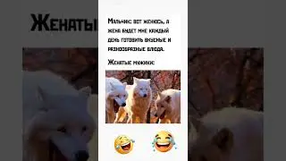 #юмор#прикол #шуточное #мемас #смех #смехпродлеваетжизнь #memes