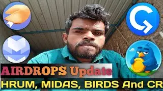 Hrum, Midas, Cryptorank and Birds Airdrop Updates And Listing Date | Ton Blockchain Projects