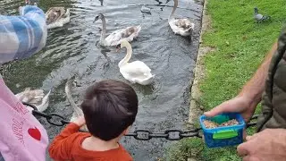 Family Day Out in Wells, UK