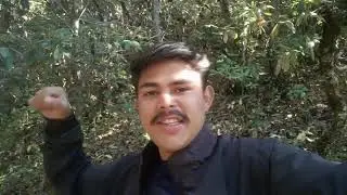 भालू का जानलेवा हमला 😰 आज हम गए 🥺 नेपाल Forest Vlog ∆ Vipin Gusain Vlogs