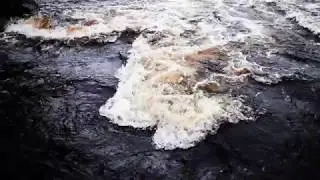 Panasonic GH5 at M&ouml;rrums&aring;n in FHD 180 fps