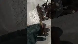 Пробки Jiffy Preforma - сегодня попробовала поставить черенки в них.