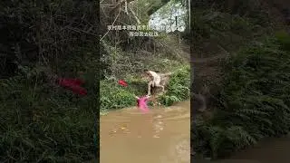 #bamboo1 #fishing #funny #bambooacademy #pubgmobile #life #cooking #pubg