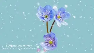 Classical music string instrument for brain and focus | String instrument music for relaxation