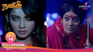 Naagini S1 | நாகினி S1 | EP 18 | கார்த்திக்கும் ஷிவன்யாவும் அரண்மனைக்கு வருகிறார்கள் | Colors Tamil