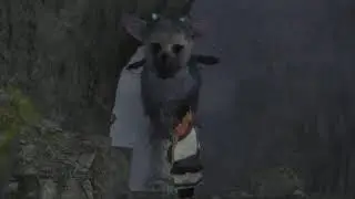 The Last Guardian - First Playthrough Pt.02*