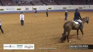 Select Working Hunter Under Saddle - 2024 AQHA World Championship Show