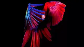 I'm artist👨&zwj;🎨....(Status,Attitude status, Friendship l