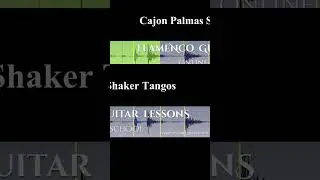 Flamenco Single-Track Loop Player