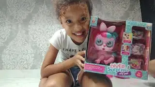 Diver surprise My Pet !!!!! Abrindo o pet e suas surpresas (⁠◔⁠‿⁠◔⁠)