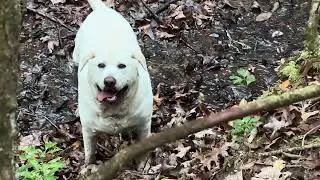 Mud….I don’t see an issue here 