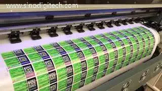 Eco solvent printer XP600 and Cutting Plotter C720