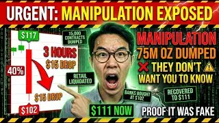 Silver CRASHED $117&rarr;$102 in 3 Hours - Here's The MANIPULATION They Don't Want You to See