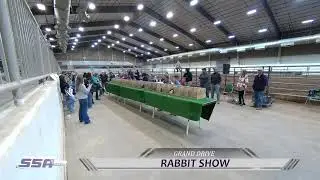 Midland County Livestock Show Poultry and Rabbit Show - Part 1