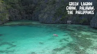 Exploring the Enchanting Green Lagoon in Coron, Palawan | Hidden Paradise in the Philippines