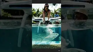 A Beautiful Woman Harvests Fish Using a Giant Drone | Future Fish Farming