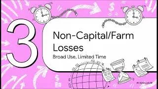 Tax Loss Carry-Overs: Rules and Application