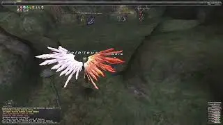FFXI solo CP grinding on 99NIN/WAR