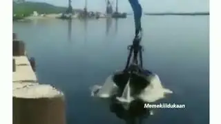 Wait for it 🚿😂😂😂
