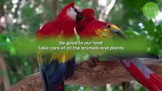 Ps & Gs Caring for Creation - Kids Song