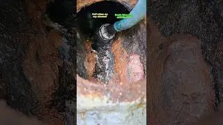 Would you be a plumber for a day? #blockeddrain #plumber #draincleaning #sewerage #shorts #plumbing