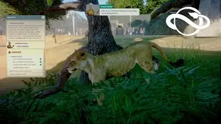Planet zoo The Best Zoo Game Ever