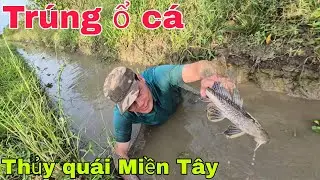 Trúng mánh ổ cá bắt được 