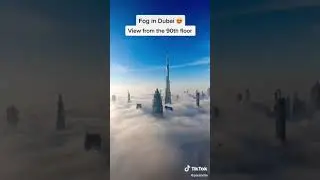 Amazing view on the top of Dubai || foggy weather || #exclusiveview#viewfromtopoftheworld#Cringee