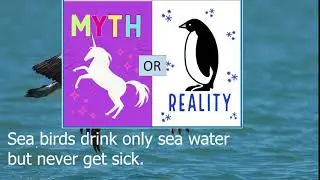Science Telling Antarctica Myth or Reality