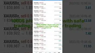 Forex Copy trading Results
