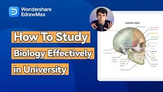 How To Study Biology Effectively in University