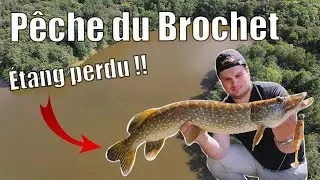 On pêche un étang méconnu rempli de brochet !