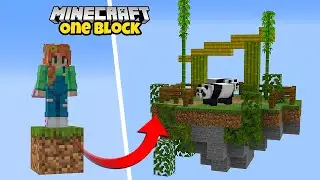 Building a ZOO in ONE BLOCK Minecraft!