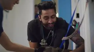 The biggest misconception about working at VCA Animal Hospitals