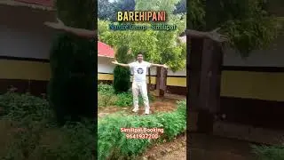 Barehipani Nature Camp Booking - 9641937200, Similipal Tiger Resurve Forest || Similipal Safari 2025