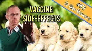 The Vaccine Side Effects in  Dogs and Cats You Really Need to Know - Dog + Cat Health Vet Advice