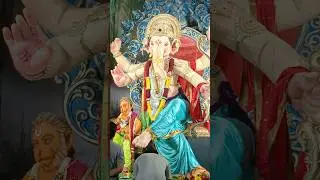 Boxer Rules Ganpati in Ulhasnagar #youtubeshorts
