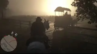 Funny bug RDR2