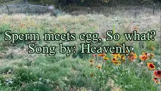 Sperm meets egg, So what? Lyric video. Og song by Heavenly