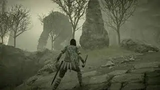 Shadow of the Colossus trophy - The Past That Defines Thee