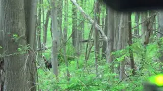 Spring Turkey Hunting 15
