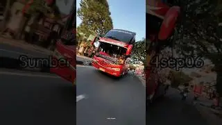 Story'Wa M Trans 