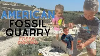 Fossil Hunting | American Fossil Quarry | Wyoming